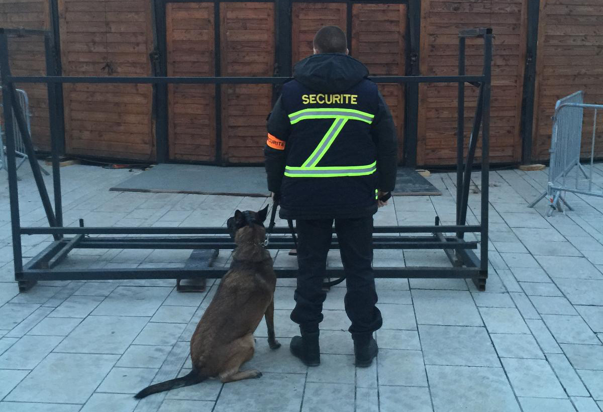 sécurité cynophile sécurité cynophile